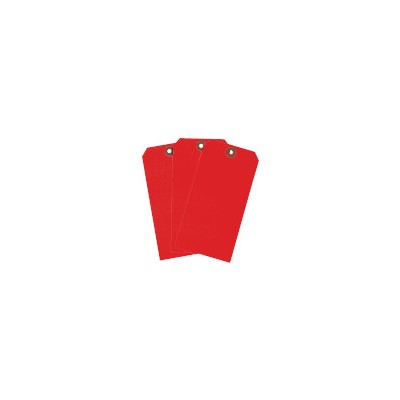 Brady 101966 - Blank Tags - Pack of 100 Tags - Red - Pack of 100 Tags
