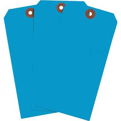 Brady 102094 - Blank Write-On Tags - 5.75" H x 2.875" W - Cardstock - Light Blue - Pack of 1000 Tags