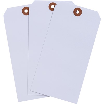 Brady 102165 - Blank Write-On Tags - 5.25" H x 2.625" W - Cardstock - White - Pack of 1000 Tags