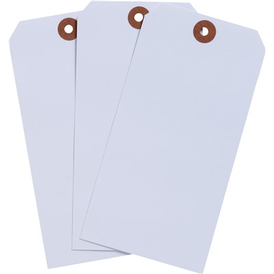 Brady 102167 - Blank Write-On Tags - 6.25" H x 3.125" W - Cardstock - White - Pack of 1000 Tags