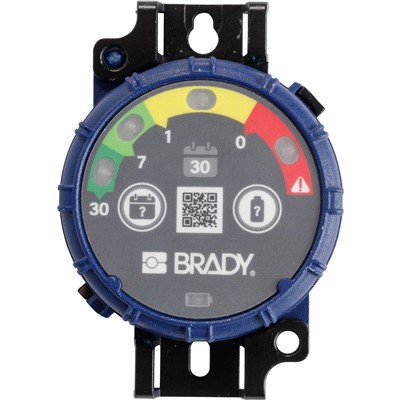 Brady 150741 - 30-Day Inspection Timer - 10/Pack