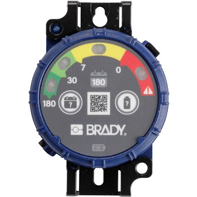 Brady 150743 - 180-Day Inspection Timer - 10/Pack