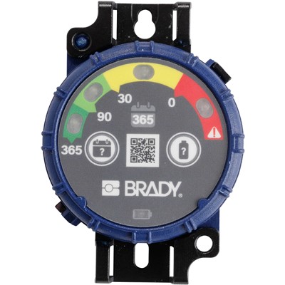 Brady 150744 - 365-Day Inspection Timer - 10/Pack