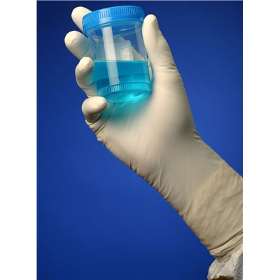 TechNiGlove TN1004B - TN1000 Series Class 100 Controlled Environment Powder Free Nitrile Gloves - 12" - X-Large - Blue - 10 Polybags/Case