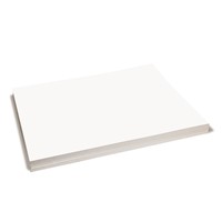 Columbia Cleanroom PA28LF-WH11 Cleanroom Paper - 28 lb - 8.5" x 11" - White - 2500 Sheets/CS